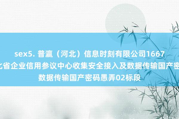 sex5. 普瀛（河北）信息时刻有限公司1667000元中标河北省企业信用参议中心收集安全接入及数据传输国产密码愚弄02标段