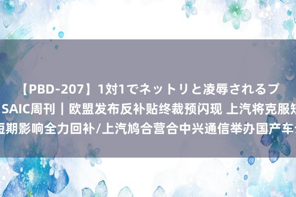 【PBD-207】1対1でネットリと凌辱されるプレミア女優たち 8時間 SAIC周刊｜欧盟发布反补贴终裁预闪现 上汽将克服短期影响全力回补/上汽鸠合营合中兴通信举办国产车云通信大单品全球平台发布会