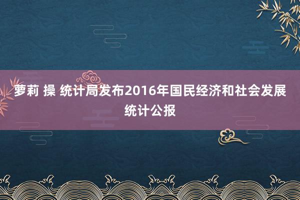 萝莉 操 统计局发布2016年国民经济和社会发展统计公报