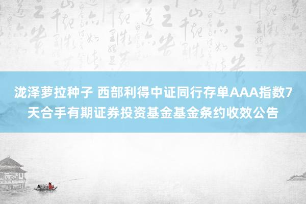 泷泽萝拉种子 西部利得中证同行存单AAA指数7天合手有期证券投资基金基金条约收效公告