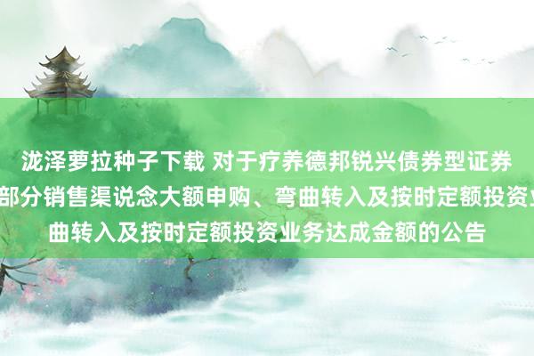 泷泽萝拉种子下载 对于疗养德邦锐兴债券型证券投资基金E类份额在部分销售渠说念大额申购、弯曲转入及按时定额投资业务达成金额的公告