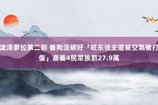 泷泽萝拉第二部 養狗沒綁好「咬东谈主還被空氣槍打傷」　嘉義4民眾挨罰27.9萬