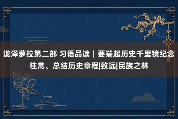 泷泽萝拉第二部 习语品读｜要端起历史千里镜纪念往常、总结历史章程|致远|民族之林