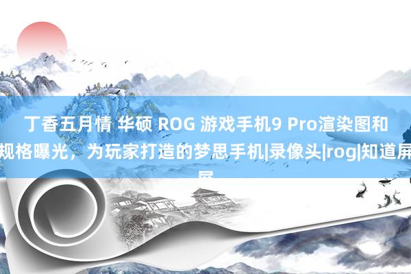 丁香五月情 华硕 ROG 游戏手机9 Pro渲染图和规格曝光，为玩家打造的梦思手机|录像头|rog|知道屏