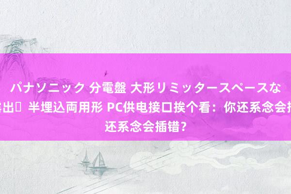 パナソニック 分電盤 大形リミッタースペースなし 露出・半埋込両用形 PC供电接口挨个看：你还系念会插错？